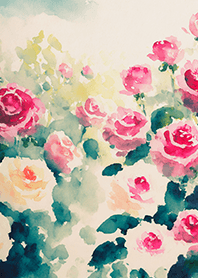 Beautiful rose flower(R4538)