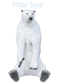 Polar Bear Theme