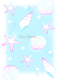 Beautiful Sea shells