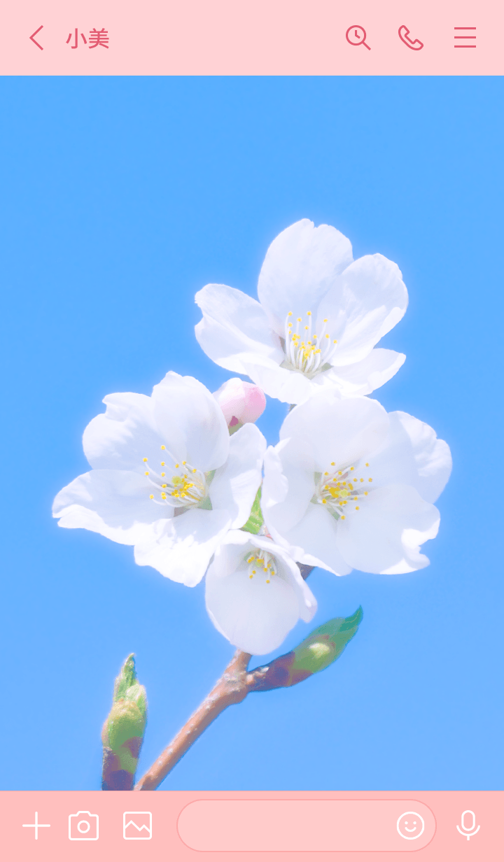 preview_003_720x1232