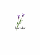 Simple lavender1.