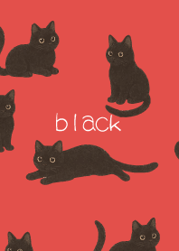 Round Black Cat on red