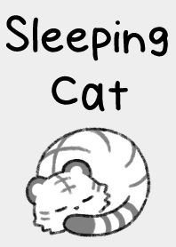 Sleeping cat 17