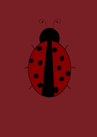 Lady Bug | MR