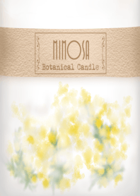 ボタニカルキャンドル -ミモザ-