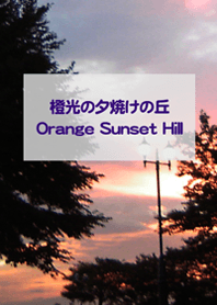 橙光の夕焼けの丘