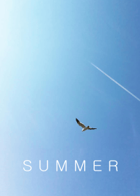 SIMPLE SUMMER(blue white)V.02b