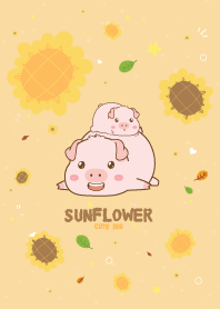 Pig Sunflower Sweet