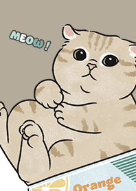 neko single19 / khaki