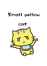 Small yellow cat