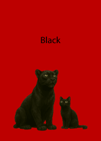 Black Pair03 on red & beige