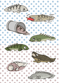 Pretty Polypterus World