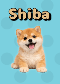 Shiba Inu Plush Theme Green 06