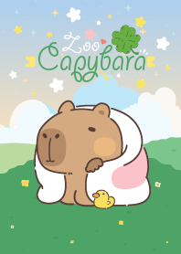 คาปิบารา สวนสัตว์ x ดาวบนฟ้า