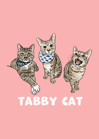 tabbycat2 - carol
