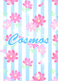 Cosmos-4 Blue