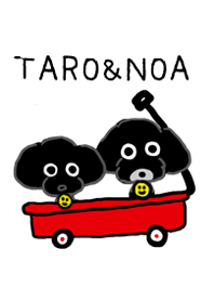 タロ＆ノア
