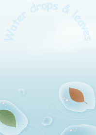 Water drops & leaves