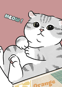 neko single15 / pale pink
