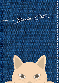 Denim Cat 3