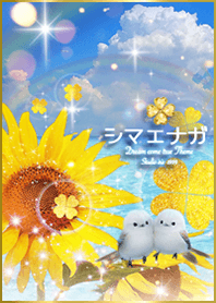 シマエナガとひまわり夏✨運気上昇⤴︎