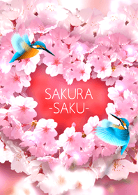 SAKURA-SAKU-