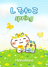 white cat [spring]