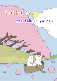 sitting in the sakura garden