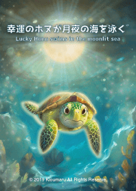 Lucky Honu swims in the moonlit sea 3