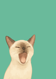 Siamese cat holiday02 bluegreen