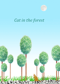 今天上午與一隻貓的風景