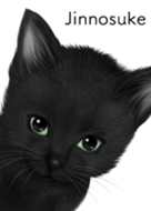 Jinnosuke Cute black cat kitten