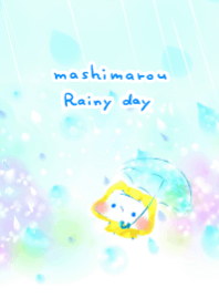 ましまろう 雨の日の散歩道