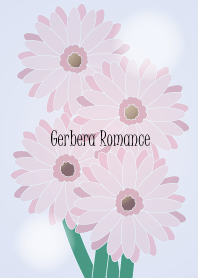 Gerbera Romance