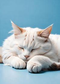 Sleeping Cat and Dog eB44E6