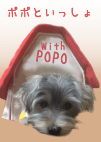 ポポといっしょ