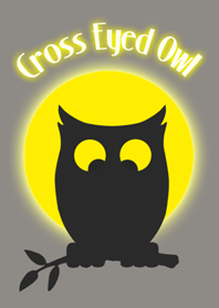 Cross Eyed Owl