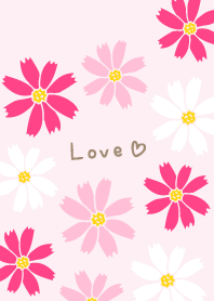 Many cosmoses8 from Japan