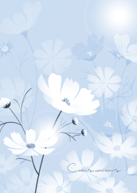 "cosmos"blue11_2