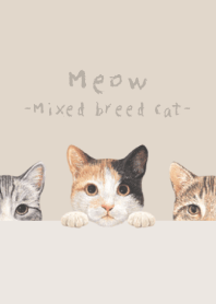 Meow - Mixed breed cat 01 - PASTEL BROWN