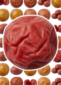 Ação ao vivo de Umeboshi Tema branco