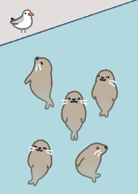 Theme of playful seals