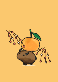 cow - staring - celebrate