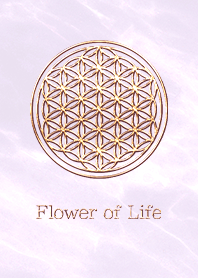 Flower of Life  - Gold (L) - Purple 02