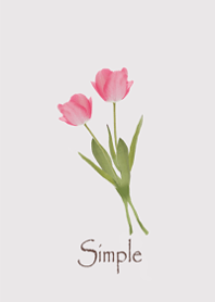 Gentle Tulip18.