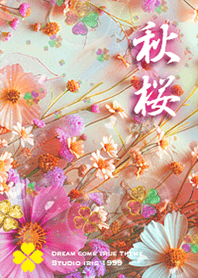 Cosmos Increased luck