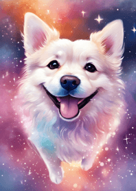 Wonderful Night 020!