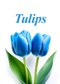 Tulips vol.21