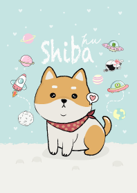 Shiba Inu dog. (Blue)