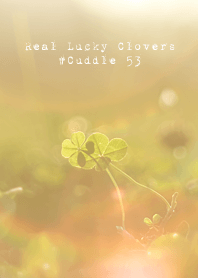 Real Lucky Clovers #Cuddle 53